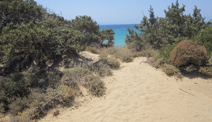 Naxos-beaches-naxosbeaches-bestbeachnaxos-cyclades-naxoscyclades-naxosisland-naxosislandbeaches-naxosaccomodation-naxosactivities-summernaxos-naxostown-travelcubenaxos