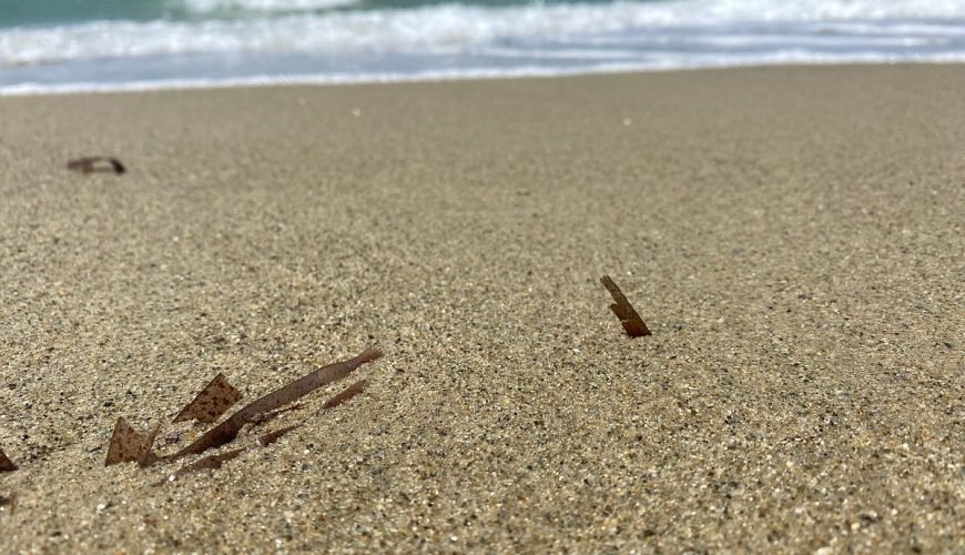 Naxos-beaches-naxosbeaches-bestbeachnaxos-cyclades-naxoscyclades-naxosisland-naxosislandbeaches-naxosaccomodation-naxosactivities-summernaxos-naxostown-travelcubenaxos